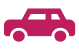 vastint icon car